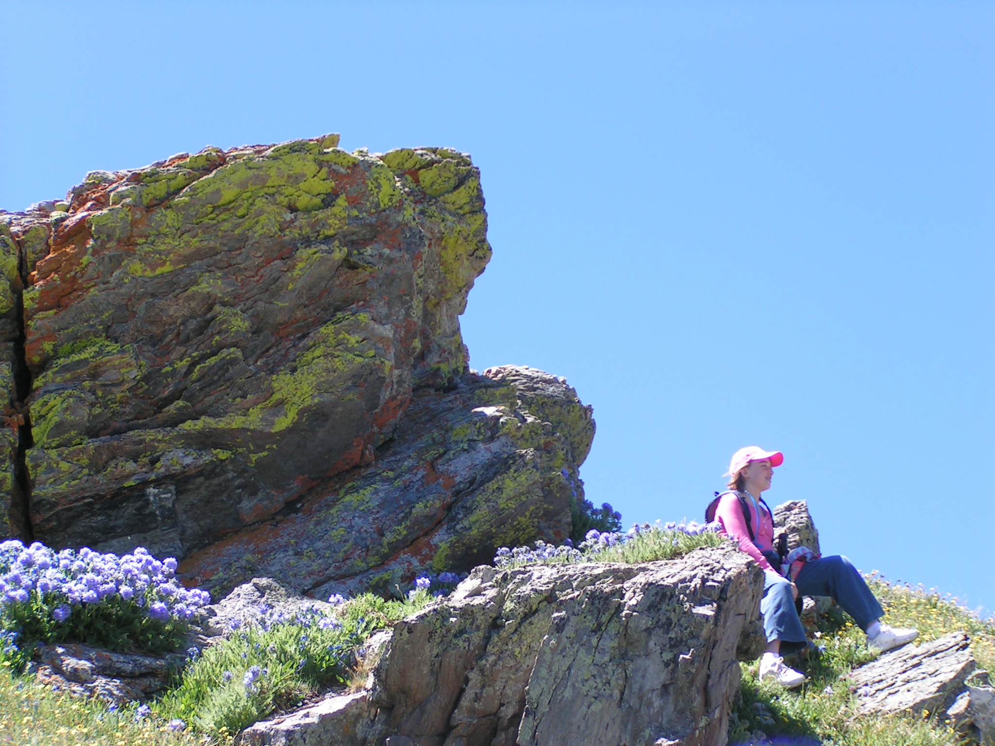 girl overlooking nature, outdoors, purple flowers, rocks, women's empowerment workshop